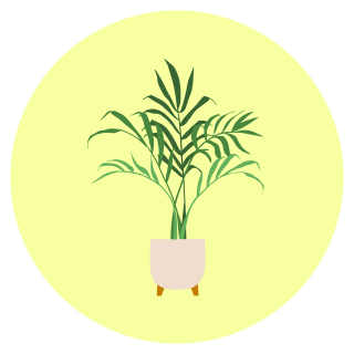 Plantas de exterior
